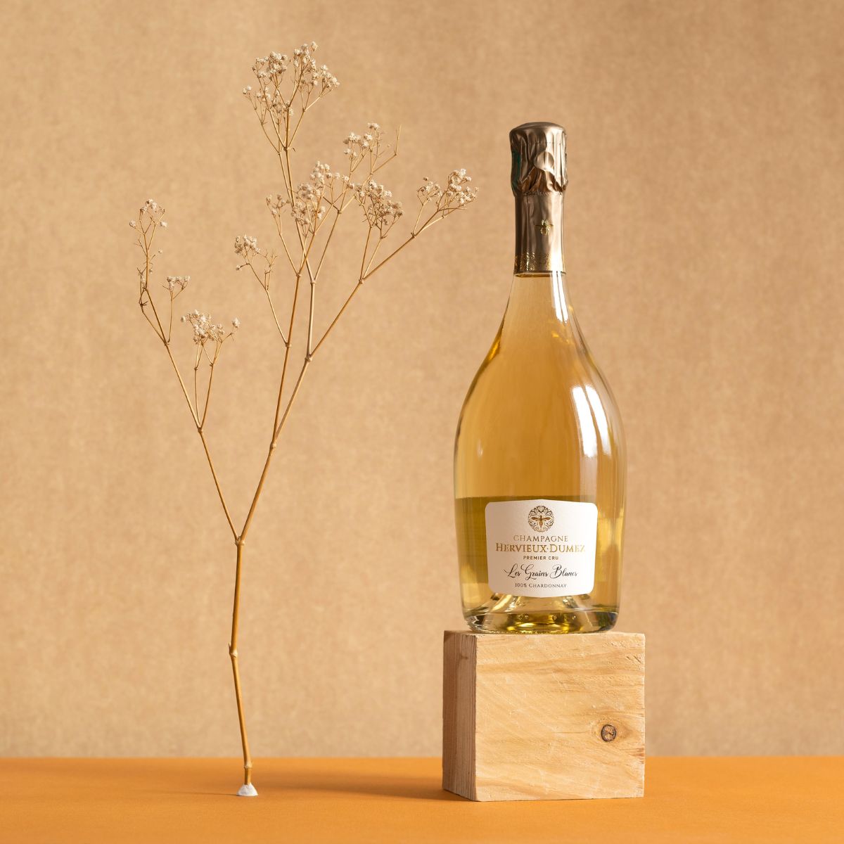Hervieux Dumez Les Grains Blancs